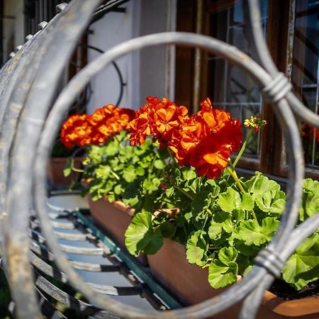 Ferienwohnung Zypresse Мерано Экстерьер фото